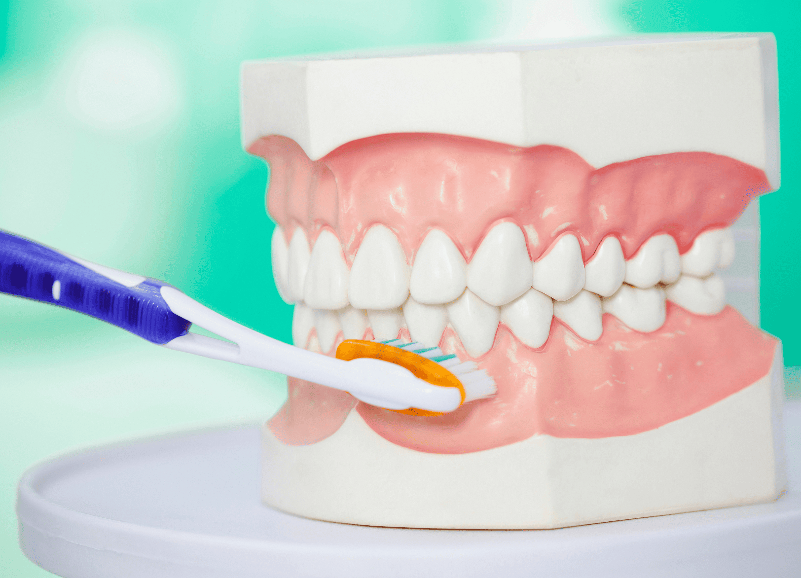ブラッシング指導|MAEDA DENTAL