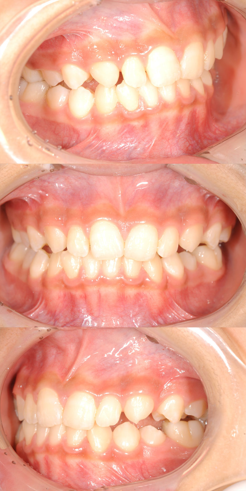 case_ortho-01a