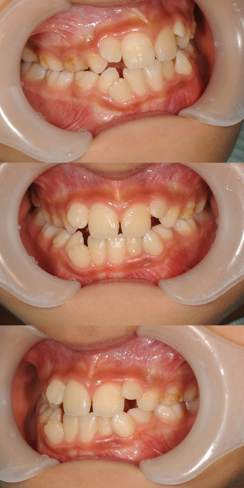 case_ortho-01b