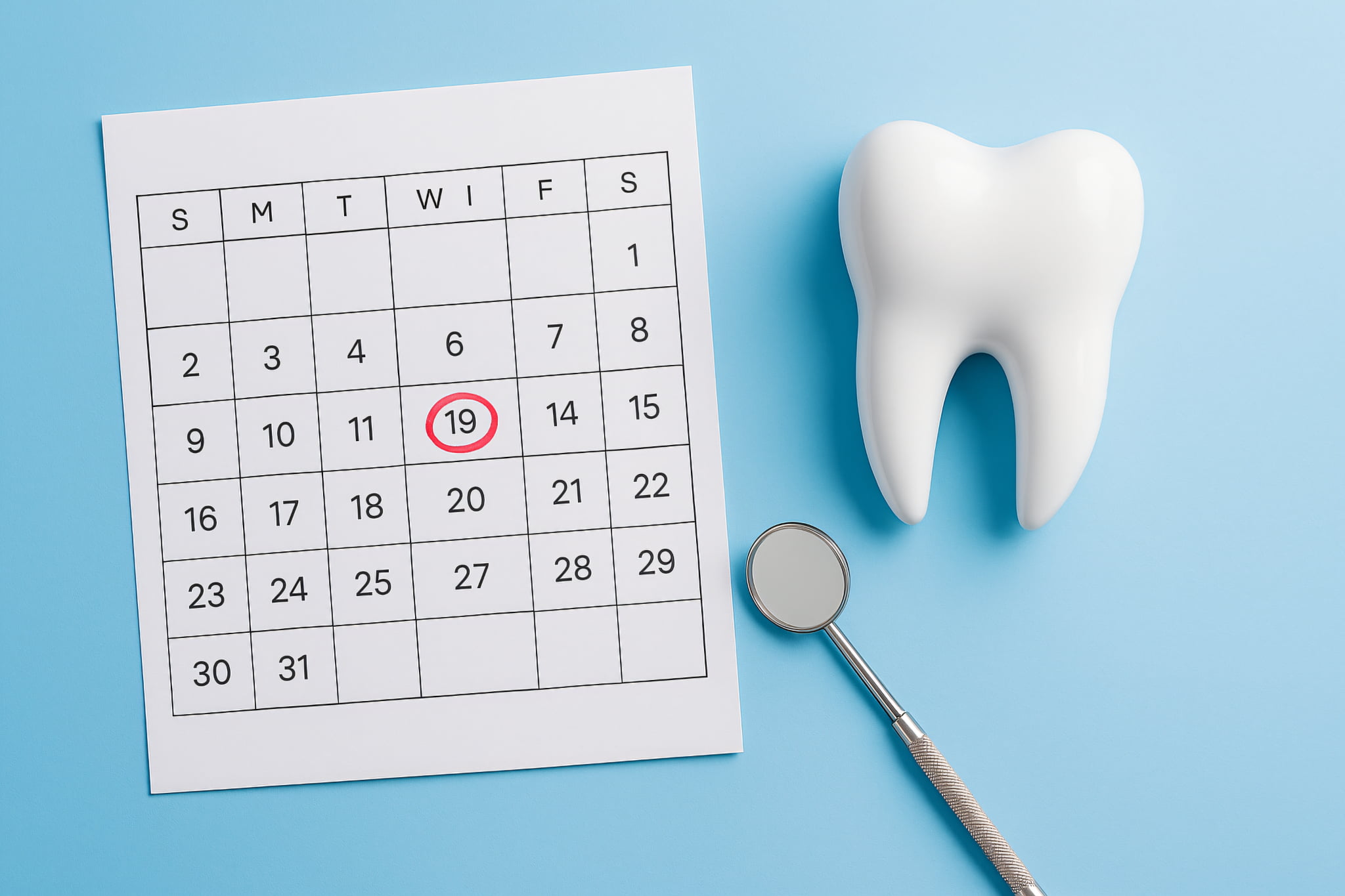 予防歯科に通う頻度のイメージ