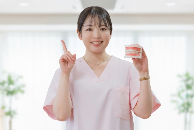 顎模型と女性イメージ