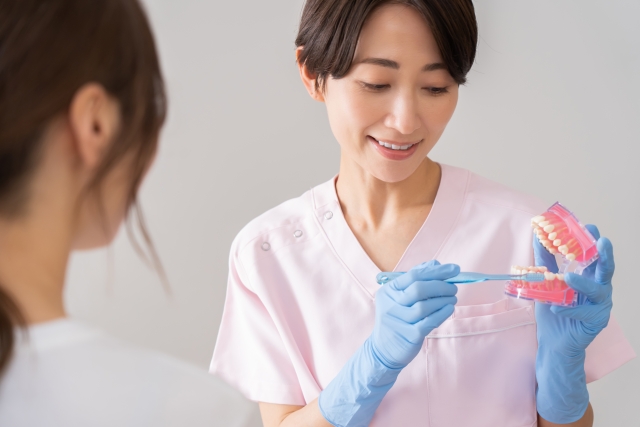 模型を使って説明するイメージ